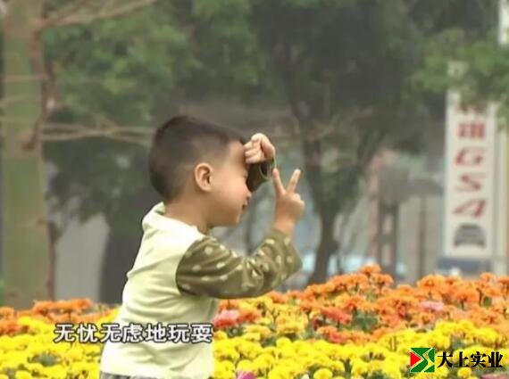 小朋友在運(yùn)動主題公園玩耍